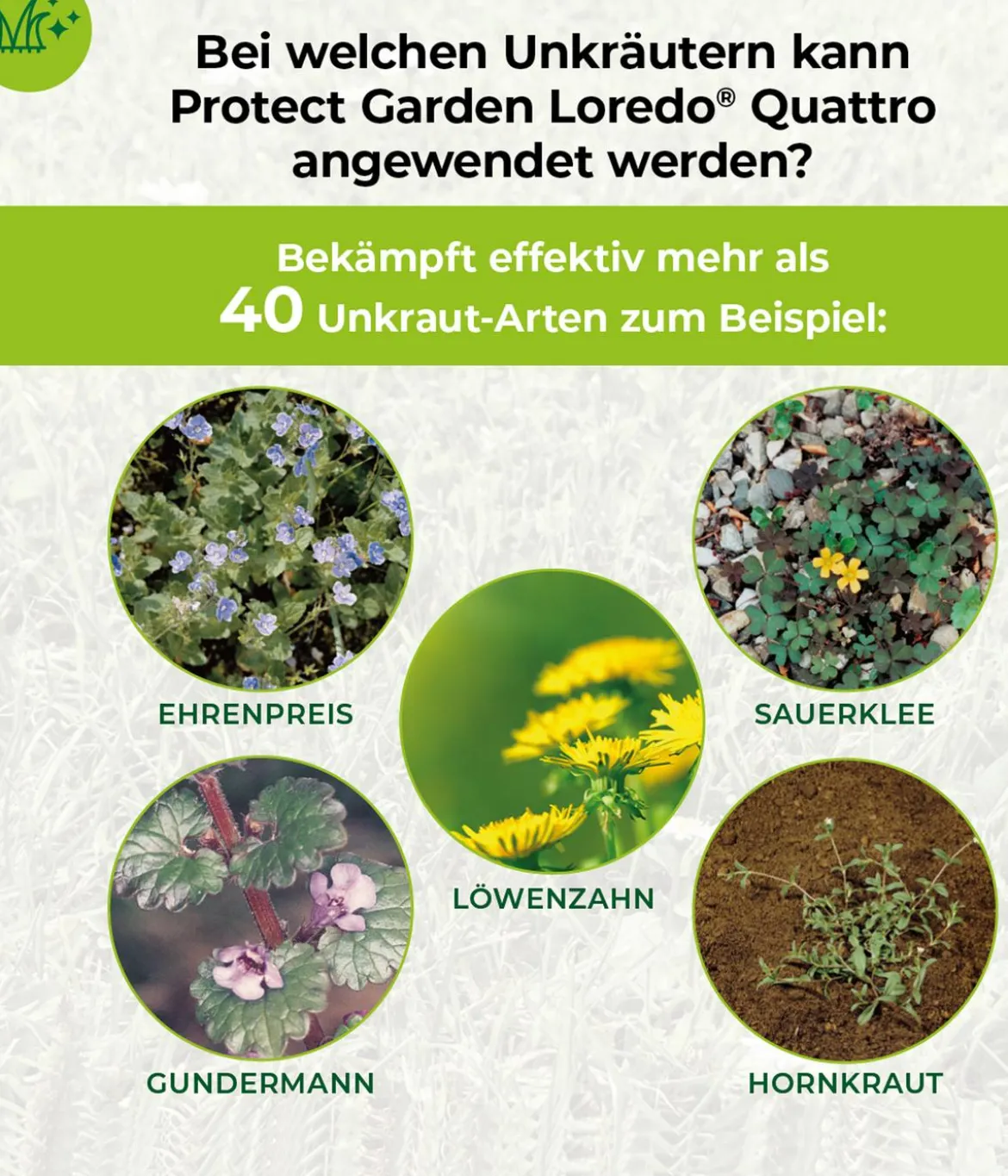 PROTECT GARDEN Loredo® Quattro Universal-Rasenunkrautfrei