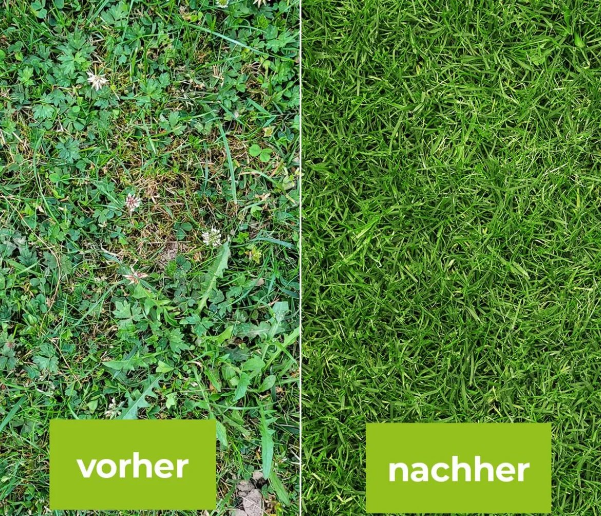 PROTECT GARDEN Loredo® Quattro Universal-Rasenunkrautfrei