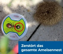 PROTECT HOME FormineX Ameisen-Köder Multi, 3 Stk.