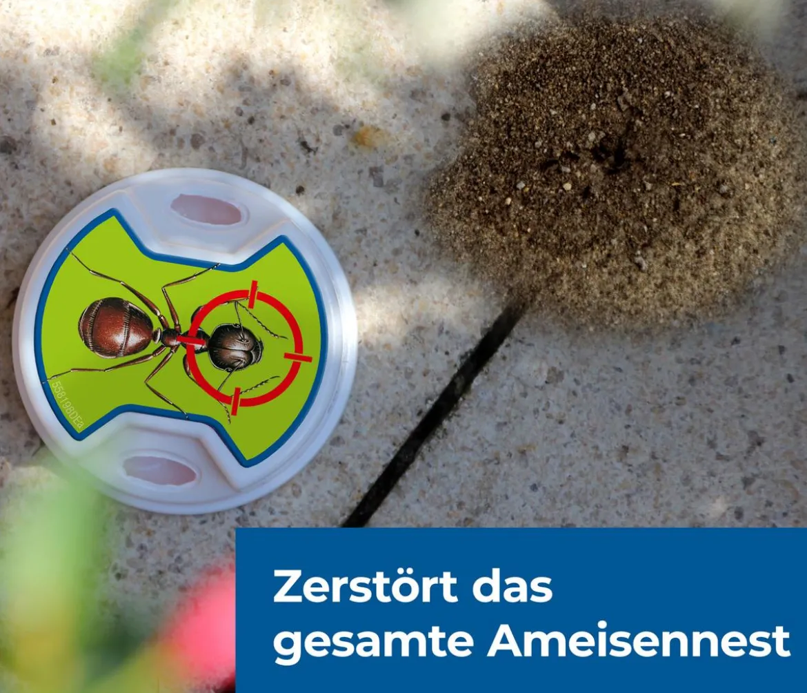 PROTECT HOME FormineX Ameisen-Köder Multi, 3 Stk.
