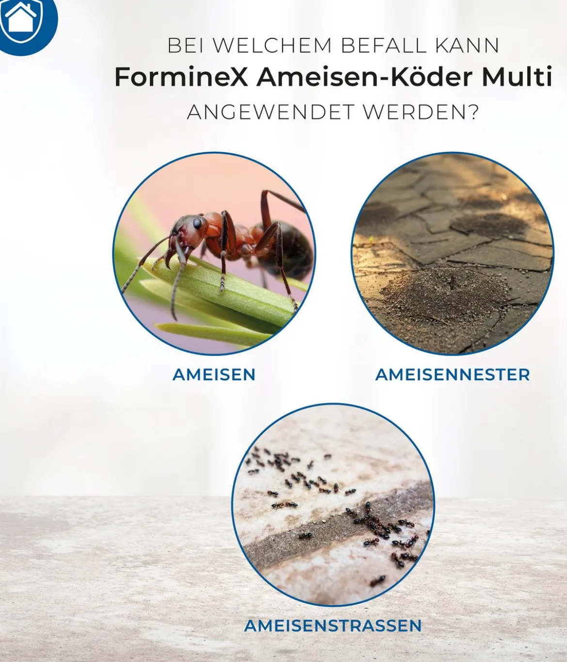 PROTECT HOME FormineX Ameisen-Köder Multi, 3 Stk.