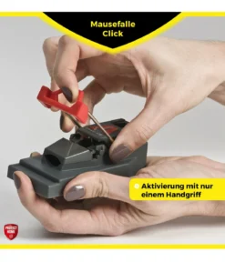 PROTECT HOME Mausefallen Click, 3 Stk.