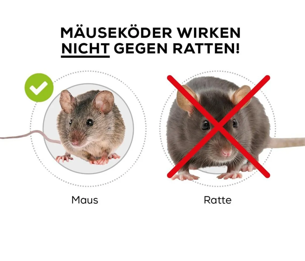 PROTECT HOME Mäuse Köderbox, 1 Stück