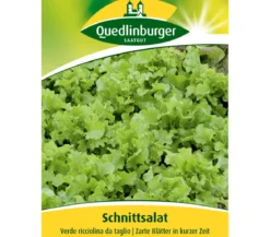 Quedlinberger Samen Schnittsalat 'Verde ricciolina da taglio'