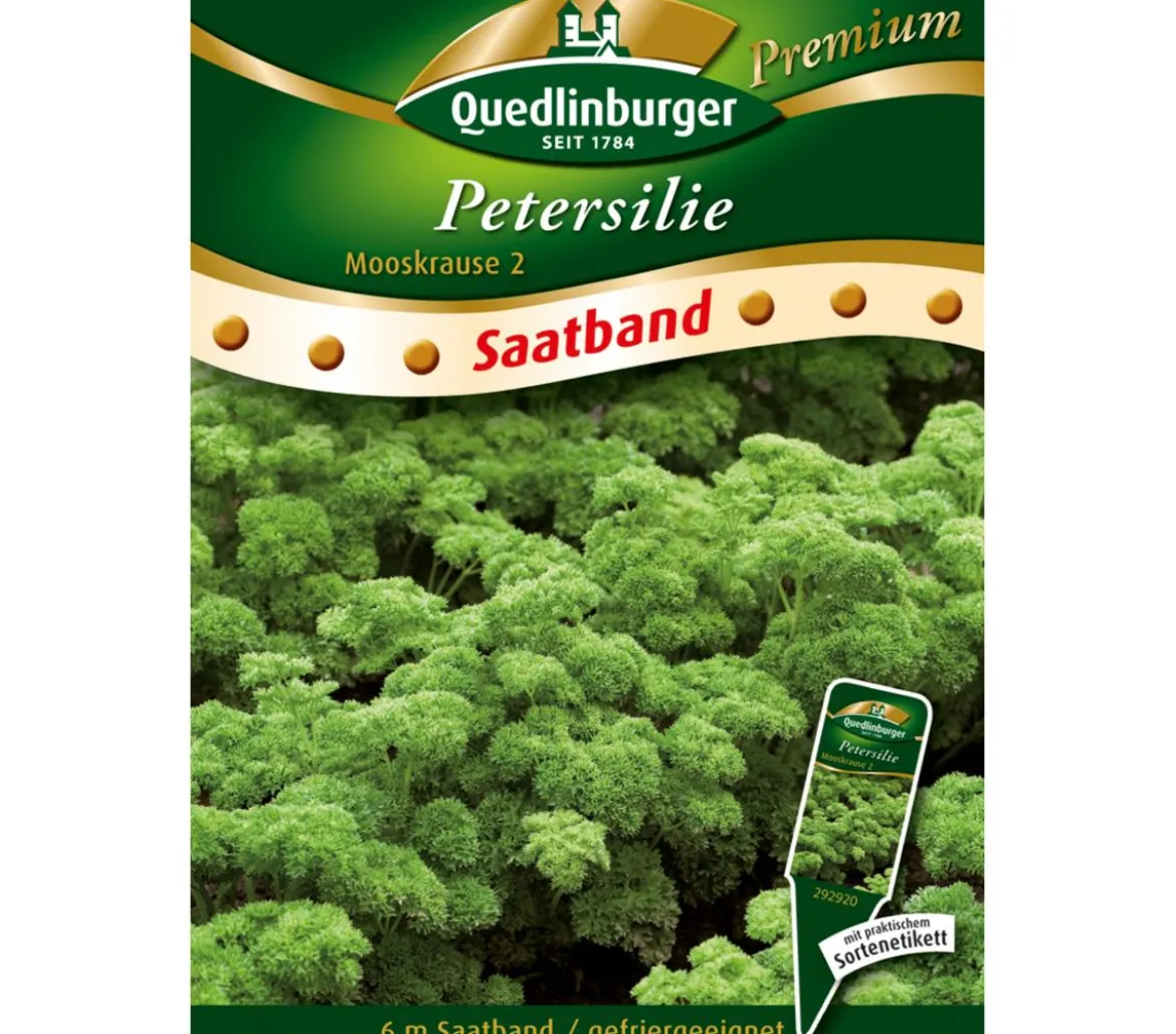 Quedlinburger Saatband Petersilie 'Mooskrause 2'