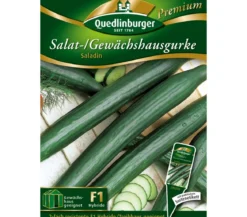 Quedlinburger Salat-/Gewächshausgurke 'Saladin'