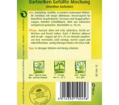 Quedlinburger Samen Bartnelke 'Gefüllte Mischung'