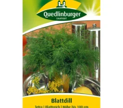 Quedlinburger Samen Dill 'Tetra'