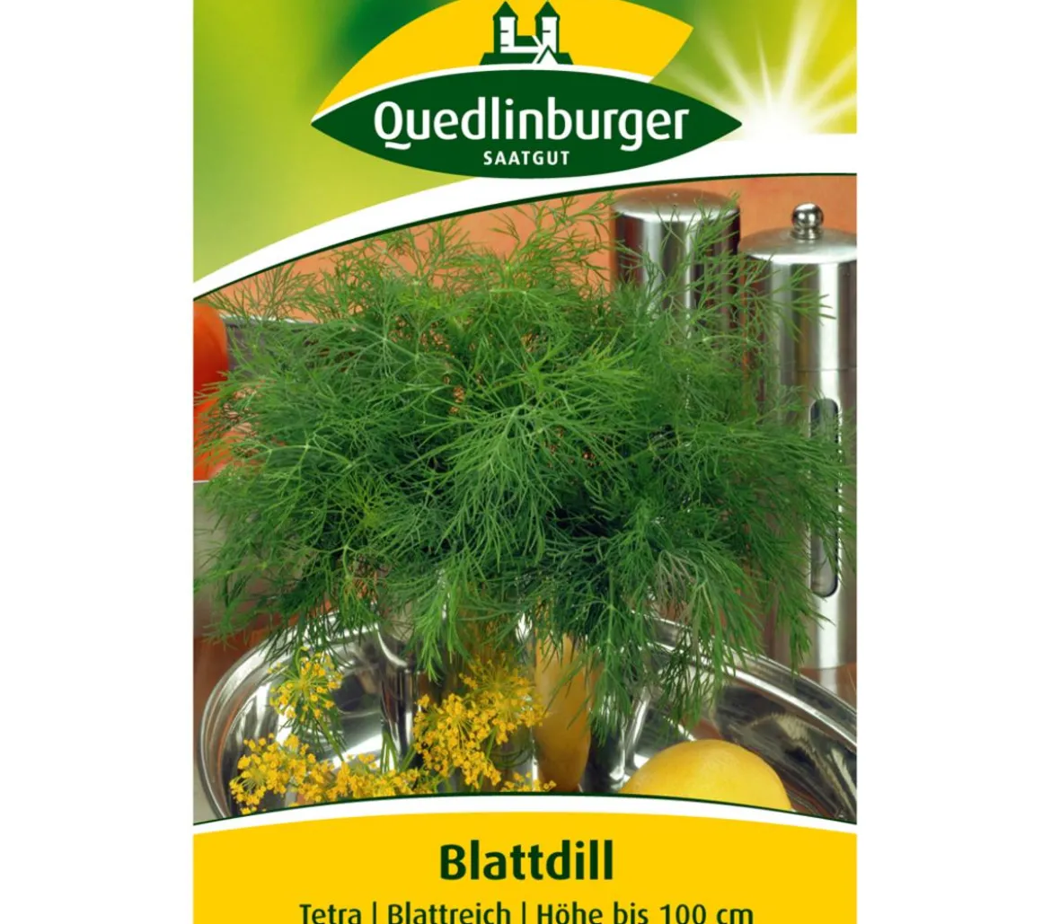 Quedlinburger Samen Dill 'Tetra'