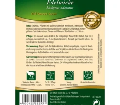 Quedlinburger Samen Edelwicke 'Old Sweet Scent'
