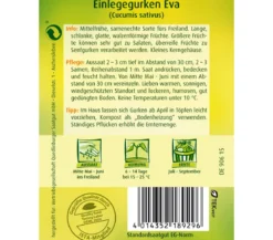 Quedlinburger Samen Einlegegurke 'Eva'