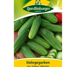 Quedlinburger Samen Einlegegurke 'Eva'