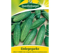 Quedlinburger Samen Einlegegurke 'Libelle'