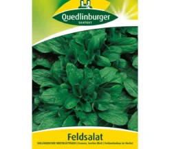 Quedlinburger Samen Feldsalat 'Holländischer Breitblättriger'