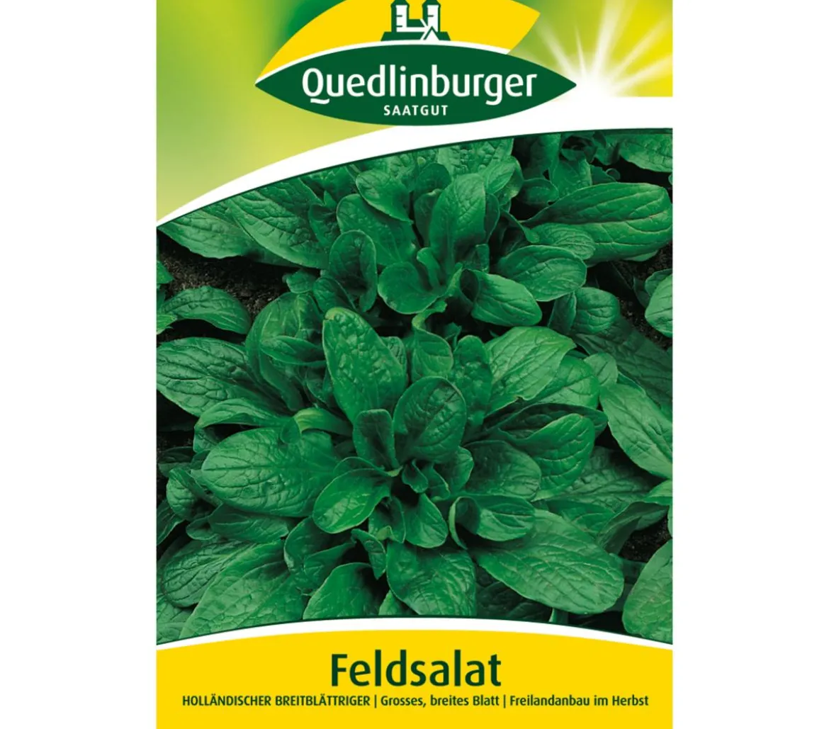 Quedlinburger Samen Feldsalat 'Holländischer Breitblättriger'