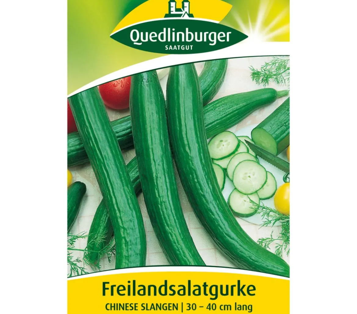 Quedlinburger Samen Freilandsalatgurke 'Chinese Slangen'
