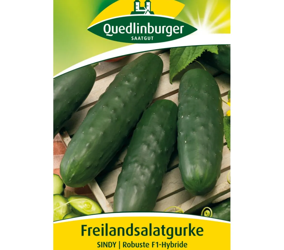 Quedlinburger Samen Freilandsalatgurke 'Sindy'