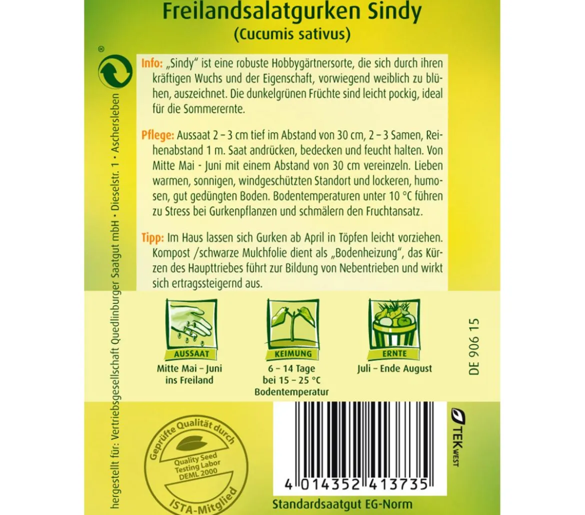 Quedlinburger Samen Freilandsalatgurke 'Sindy'