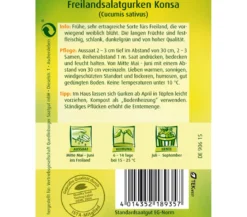 Quedlinburger Samen Freilandsalatgurke 'Konsa'