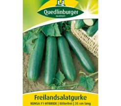 Quedlinburger Samen Freilandsalatgurke 'Konsa'