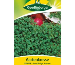 Quedlinburger Samen Gartenkresse 'Krause'
