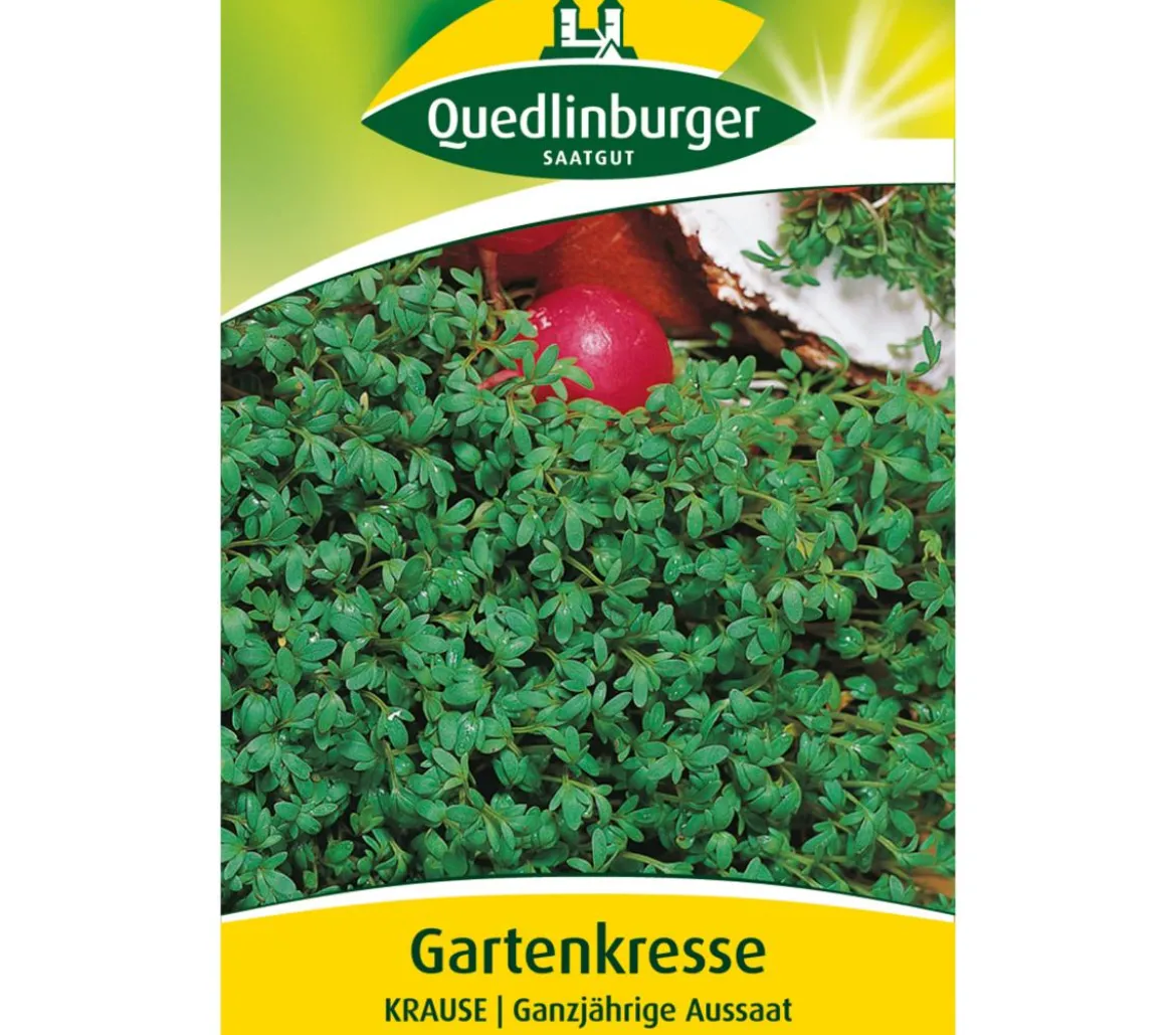 Quedlinburger Samen Gartenkresse 'Krause'