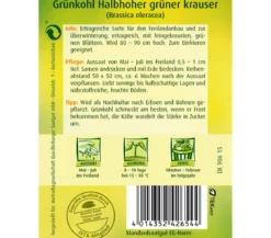 Quedlinburger Samen Grünkohl 'Halbhoher Grüner Krauser'