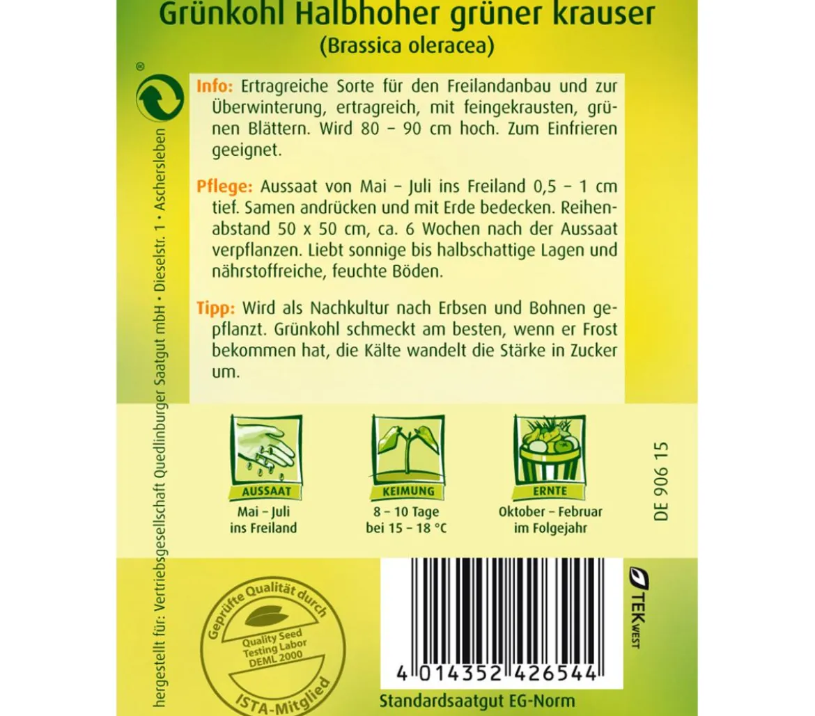 Quedlinburger Samen Grünkohl 'Halbhoher Grüner Krauser'