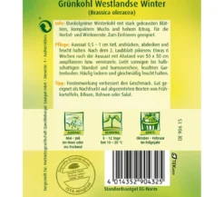 Quedlinburger Samen Grünkohl 'Westlandse Winter'