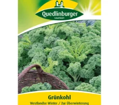 Quedlinburger Samen Grünkohl 'Westlandse Winter'