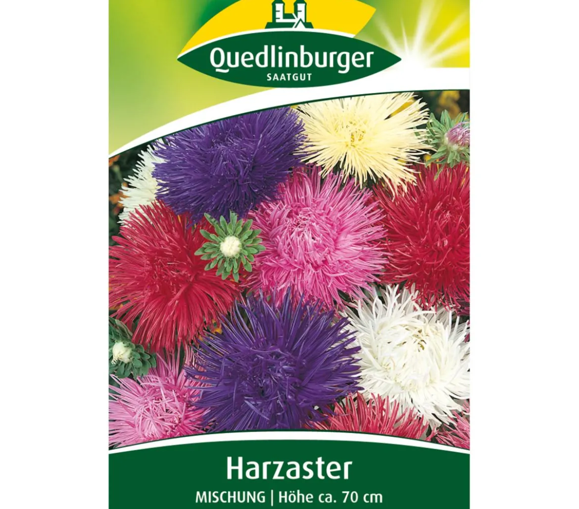 Quedlinburger Samen Harzaster 'Mischung'