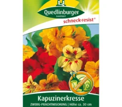 Quedlinburger Samen Kapuzinerkresse 'Zwerg-Prachtmischung'
