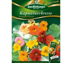 Quedlinburger Samen Kapuzinerkresse 'Variegated Queen'