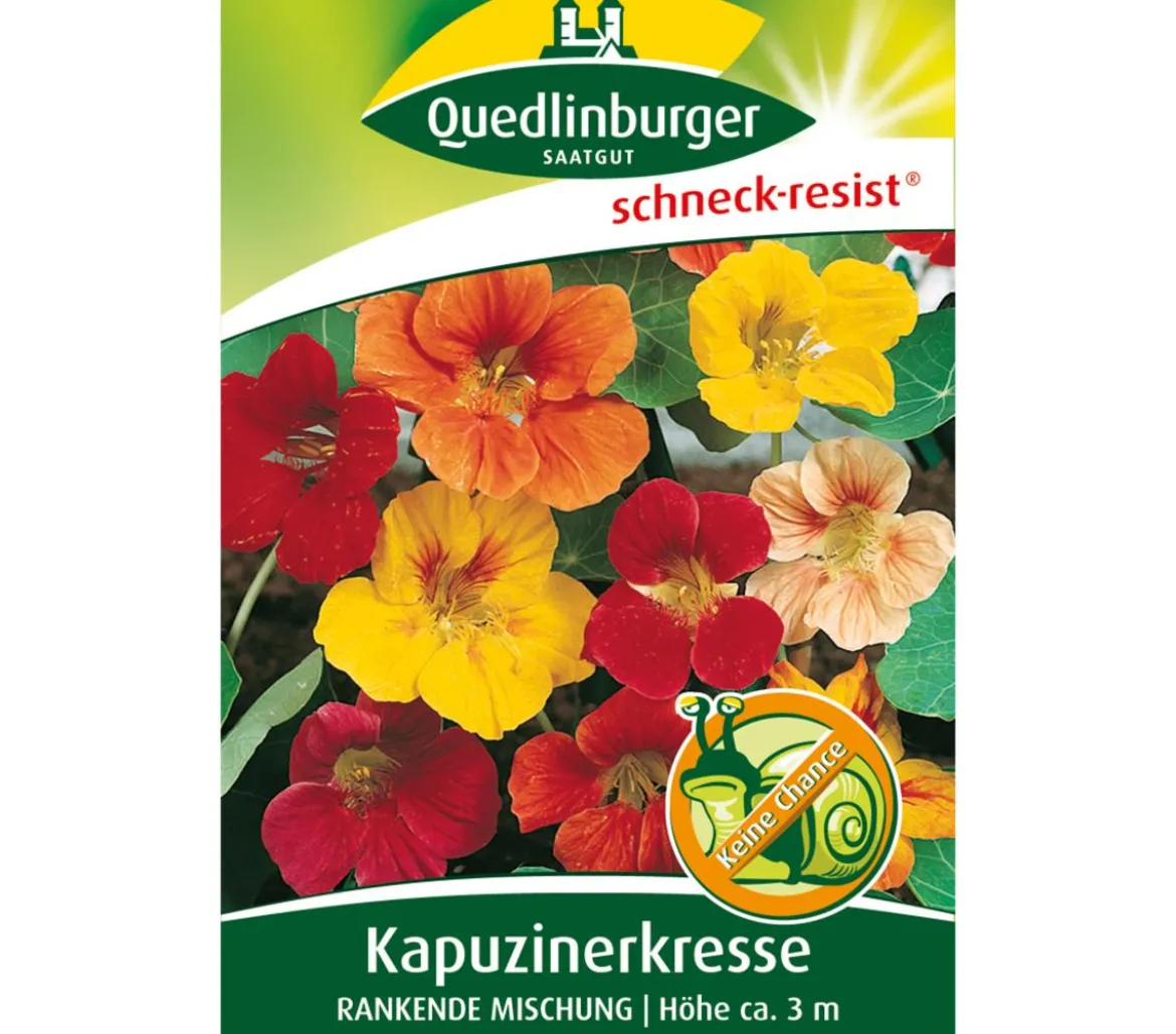 Quedlinburger Samen Kapuzinerkresse 'Rankende Mischung'