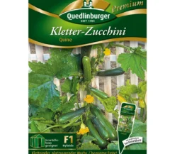 Quedlinburger Samen Kletter-Zucchini 'Quine'