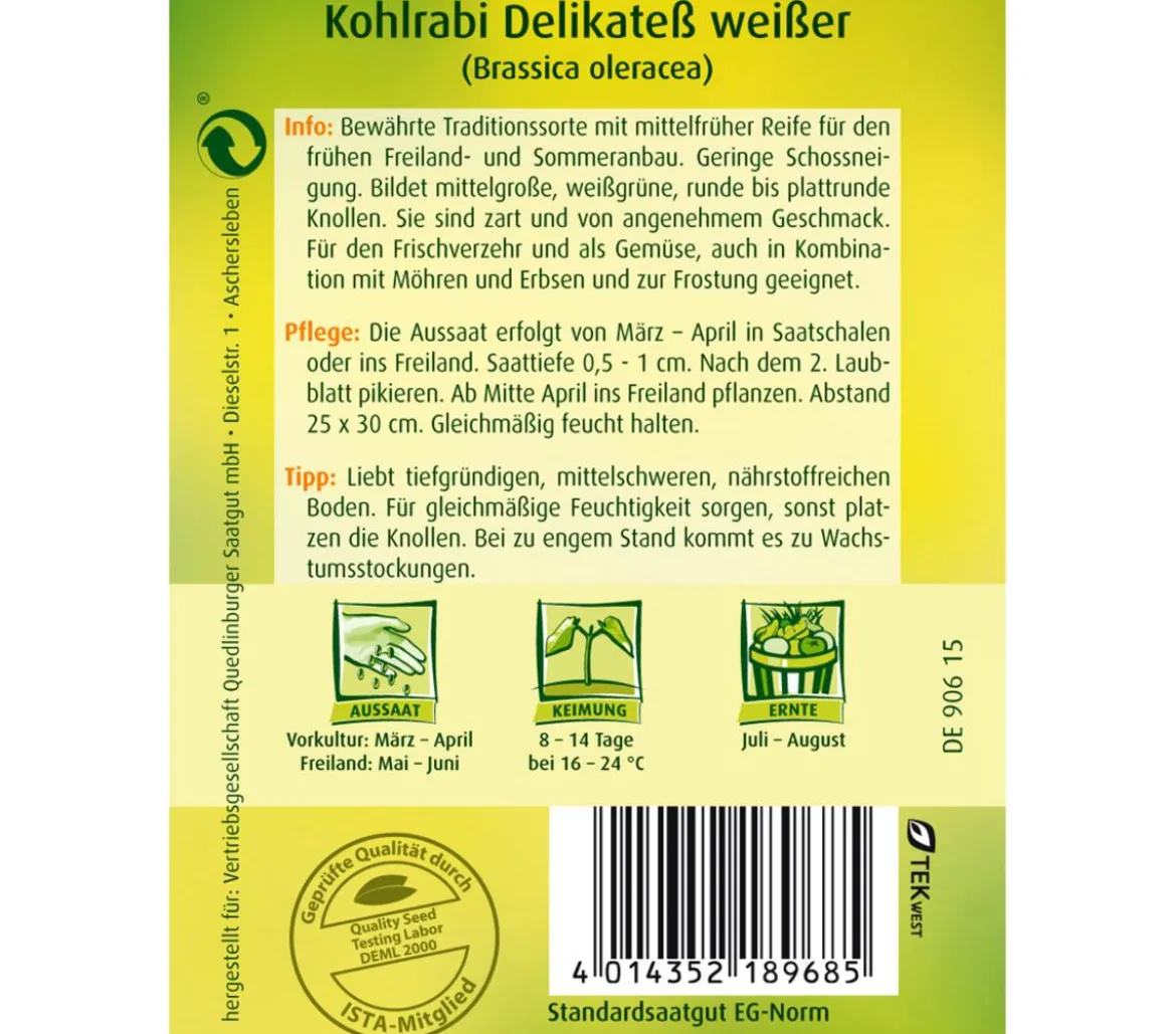 Quedlinburger Samen Kohlrabi 'Delikateß Weißer'