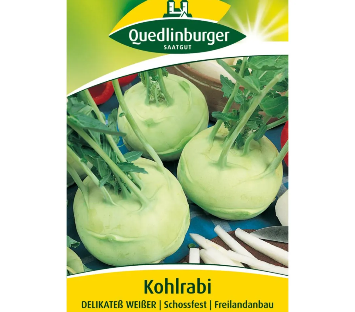 Quedlinburger Samen Kohlrabi 'Delikateß Weißer'