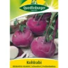 Quedlinburger Samen Kohlrabi 'Delikatess Blauer'
