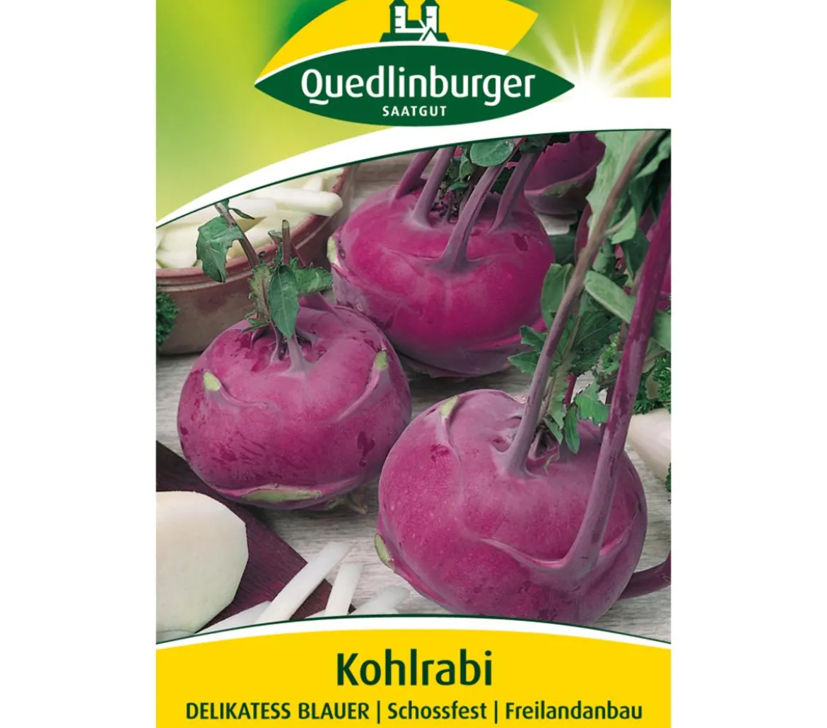 Quedlinburger Samen Kohlrabi 'Delikatess Blauer'