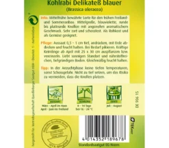 Quedlinburger Samen Kohlrabi 'Delikatess Blauer'