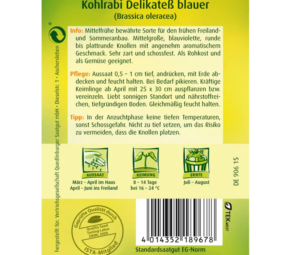 Quedlinburger Samen Kohlrabi 'Delikatess Blauer'