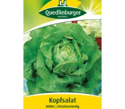Quedlinburger Samen Kopfsalat 'Mona'
