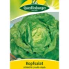 Quedlinburger Samen Kopfsalat 'Attractie'