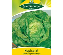 Quedlinburger Samen Kopfsalat 'Attractie'
