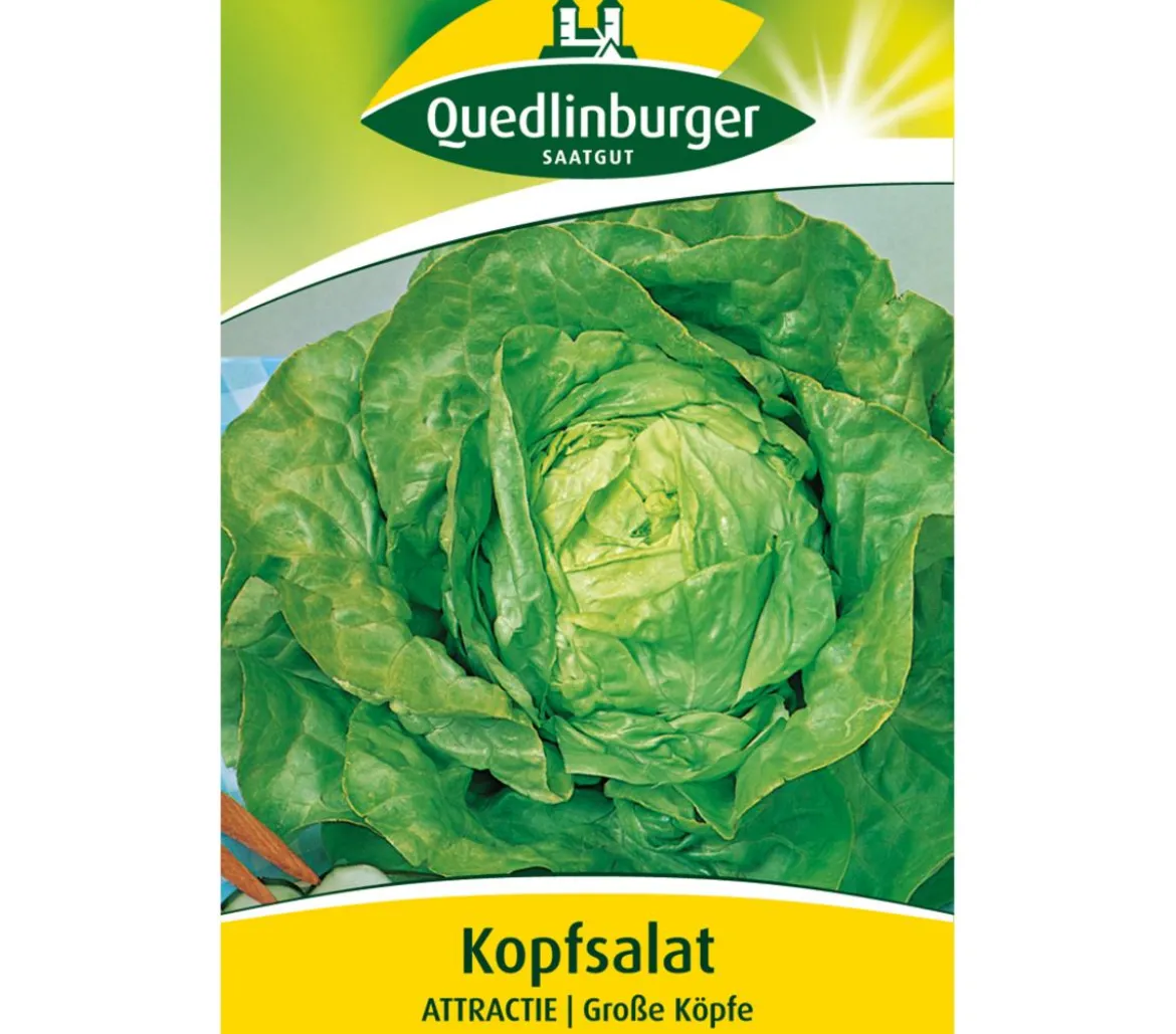 Quedlinburger Samen Kopfsalat 'Attractie'