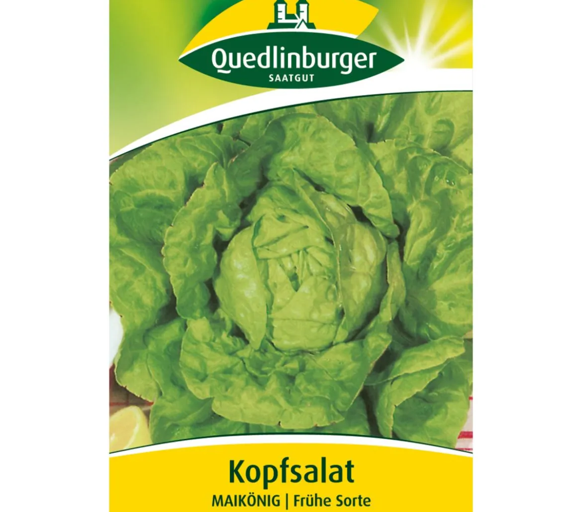 Quedlinburger Samen Kopfsalat 'Maikönig'