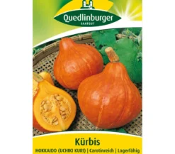 Quedlinburger Samen Kürbis 'Hokkaido'