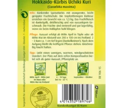 Quedlinburger Samen Kürbis 'Hokkaido'