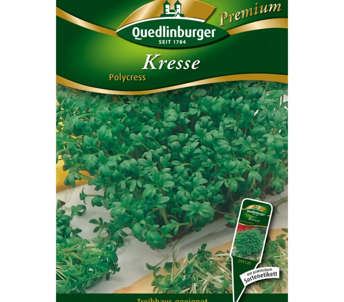 Quedlinburger Samen Kresse 'Polycress'