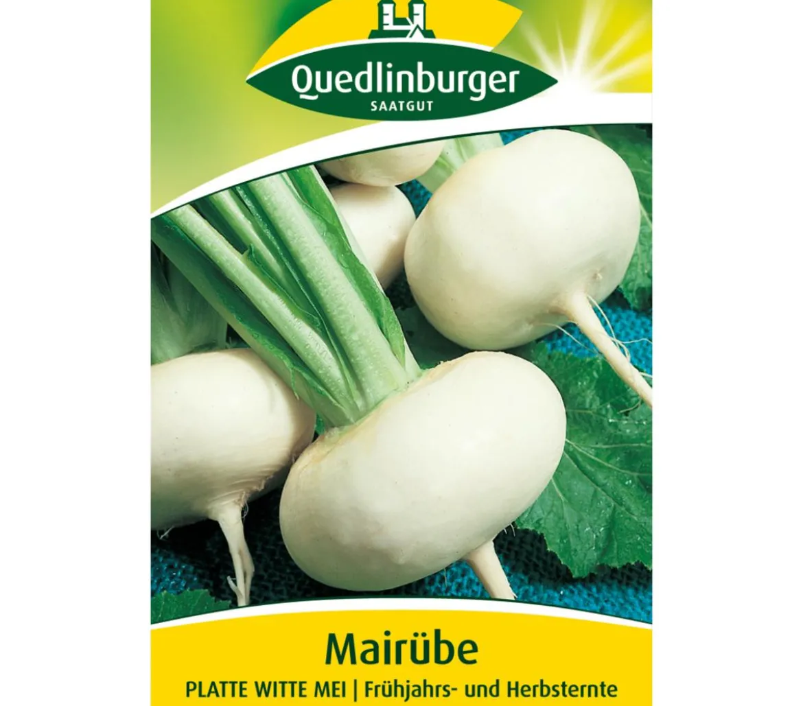 Quedlinburger Samen Mairübe 'Platte Witte Mei'